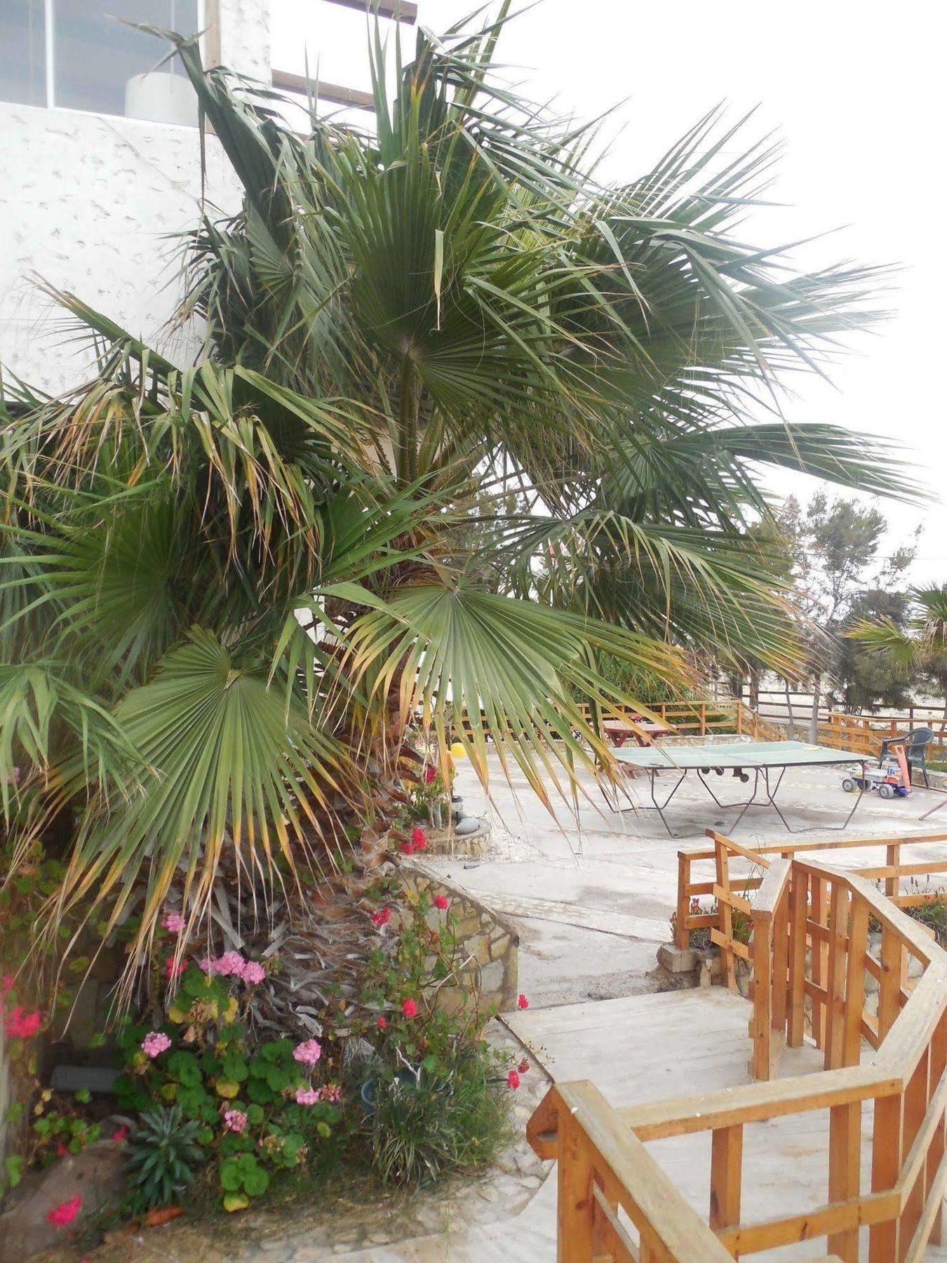 Hotel & Cabanas El Mirador Caldera Eksteriør billede